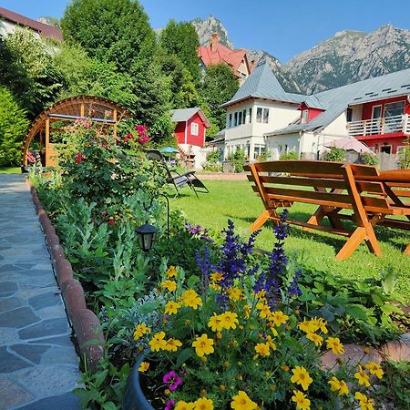 Casa Turta Dulce Buşteni Exterior foto