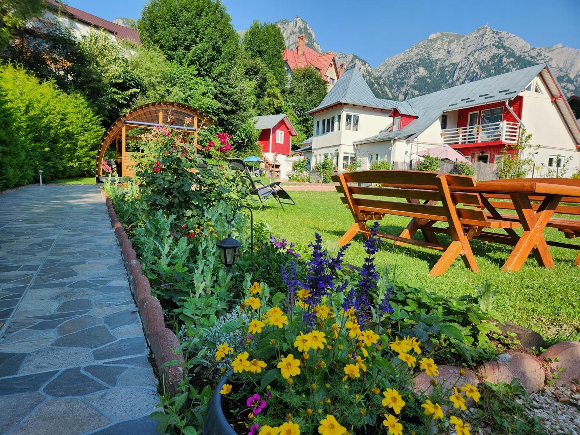 Casa Turta Dulce Buşteni Exterior foto