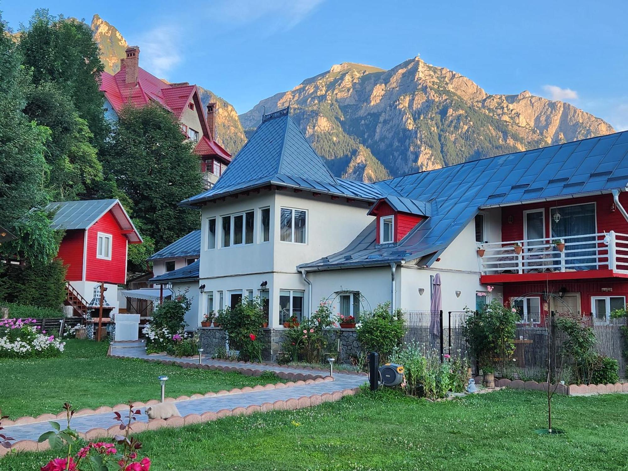 Casa Turta Dulce Buşteni Exterior foto